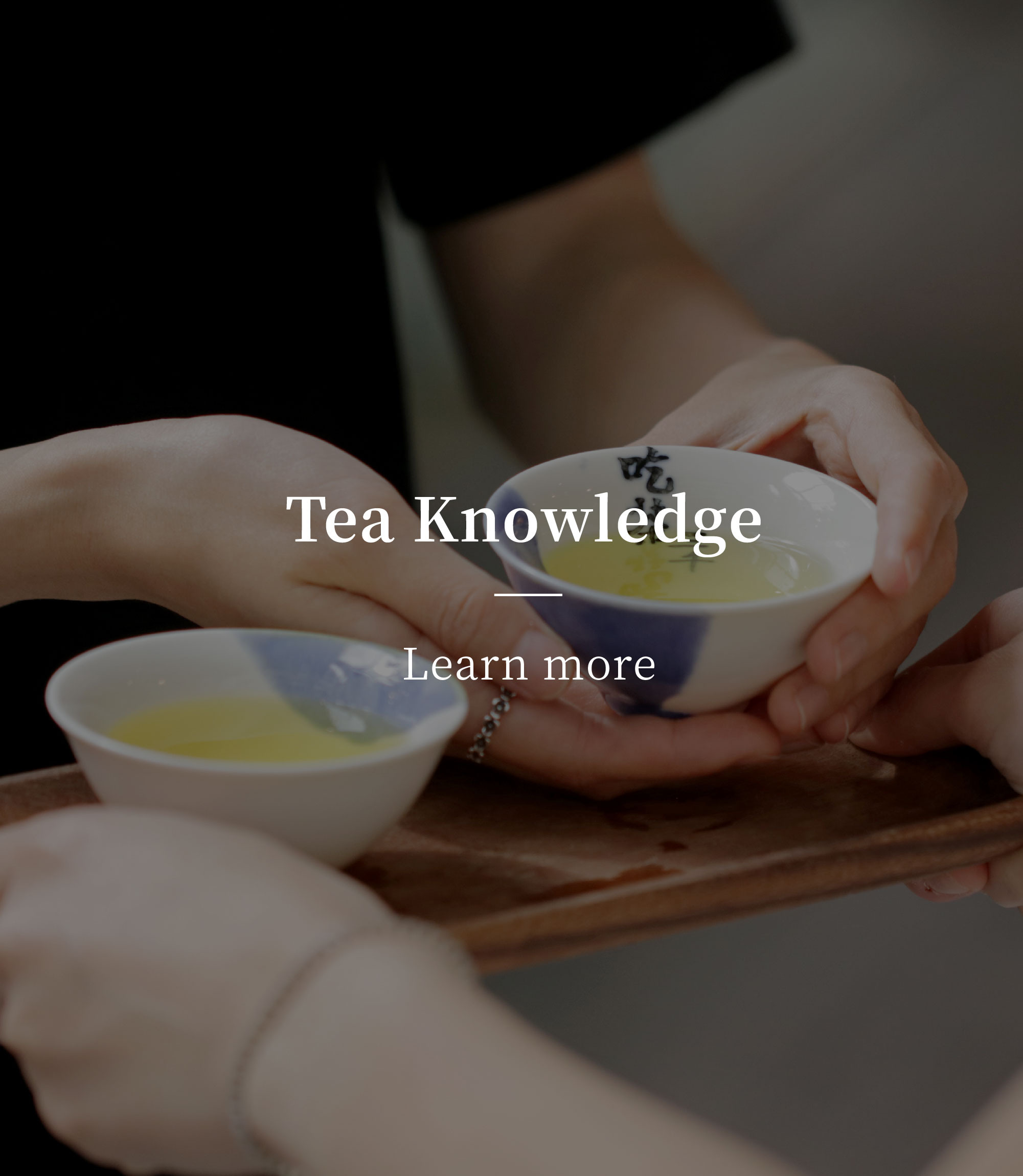 茶味誌，茶知識