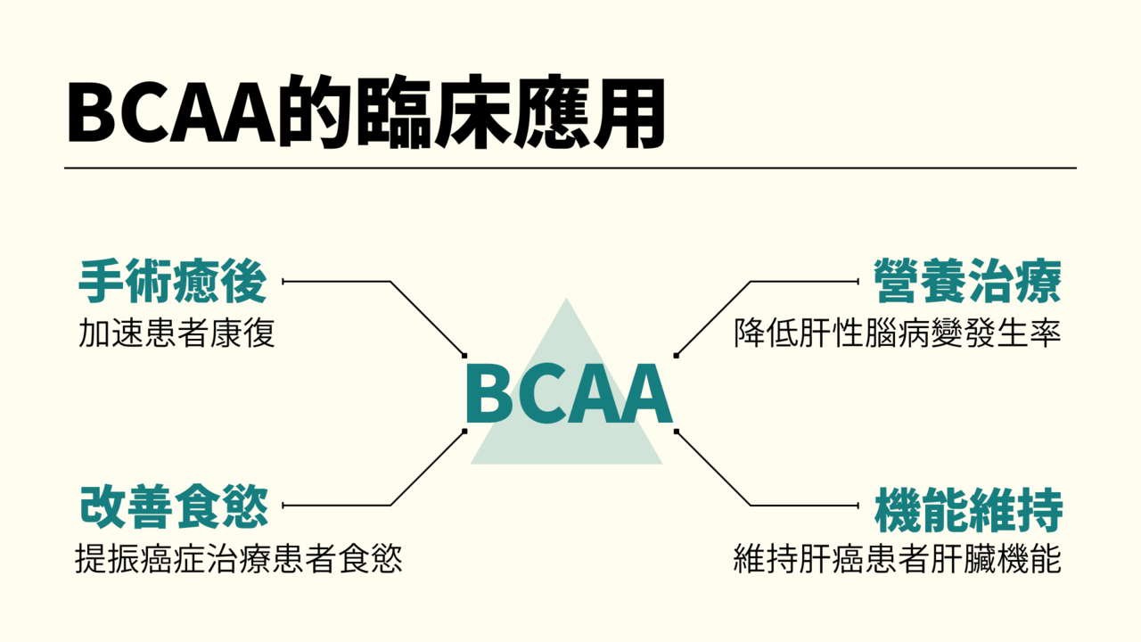 支鏈胺基酸BCAA有許多實證功效