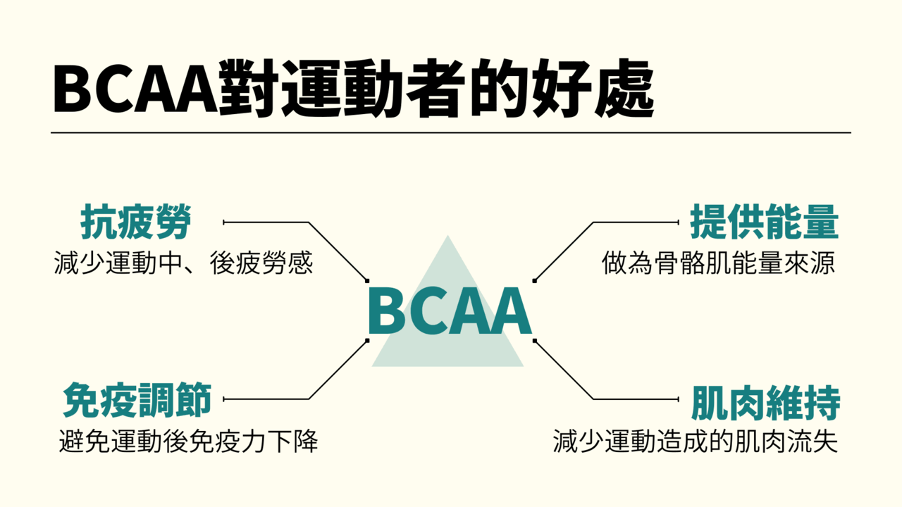 BCAA對運動愛好者有益