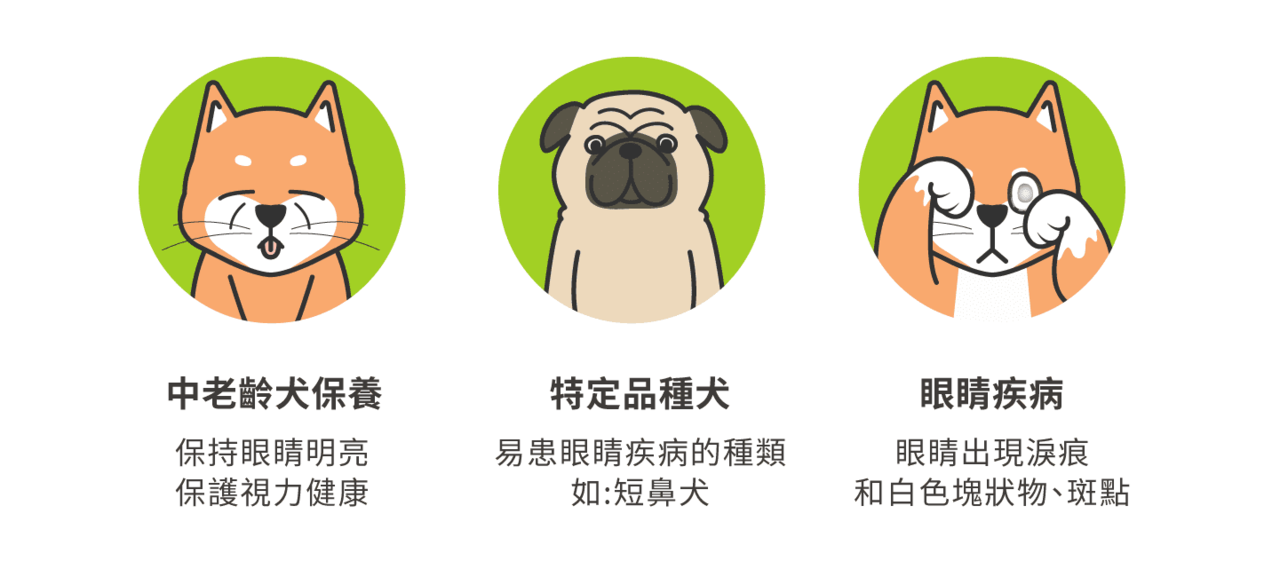 特別需要注意眼部保養的毛孩族群：中老齡犬、貓保養/特定品種犬貓/眼睛疾病