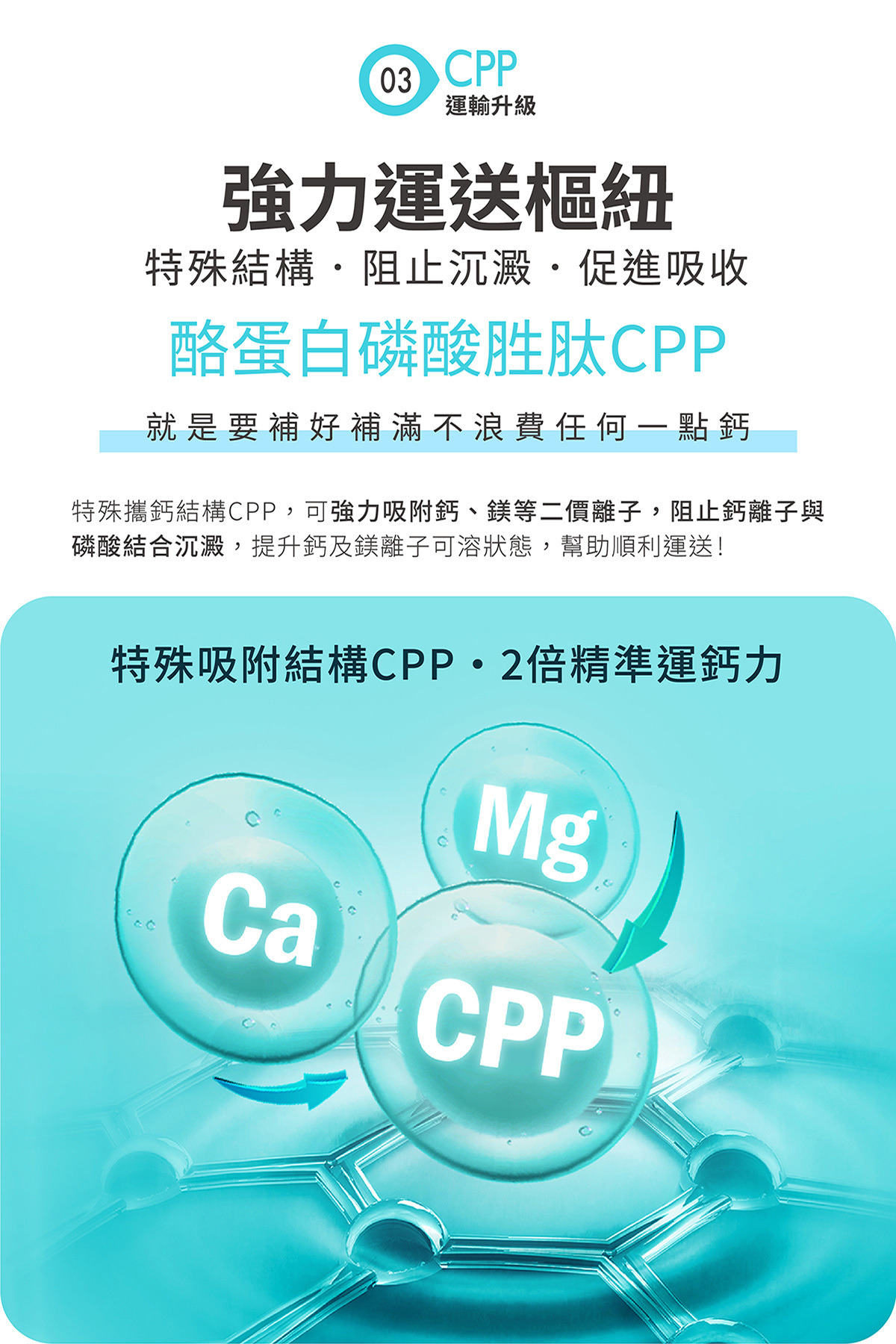 PMC CPP calcium algae-Ca,Mg,vitD,K2 Healthy Food health care