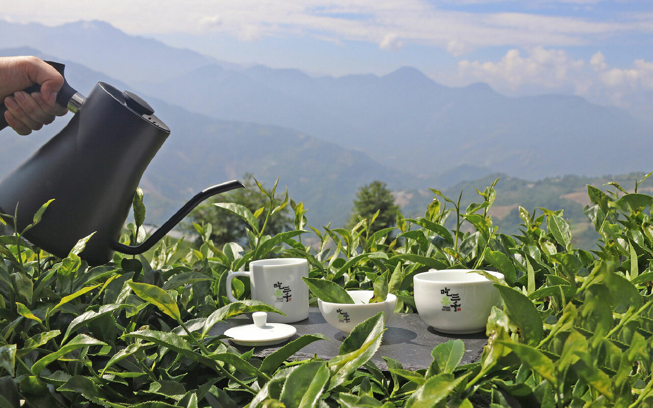 一個茶壺數個茶杯，在茶園裡泡茶