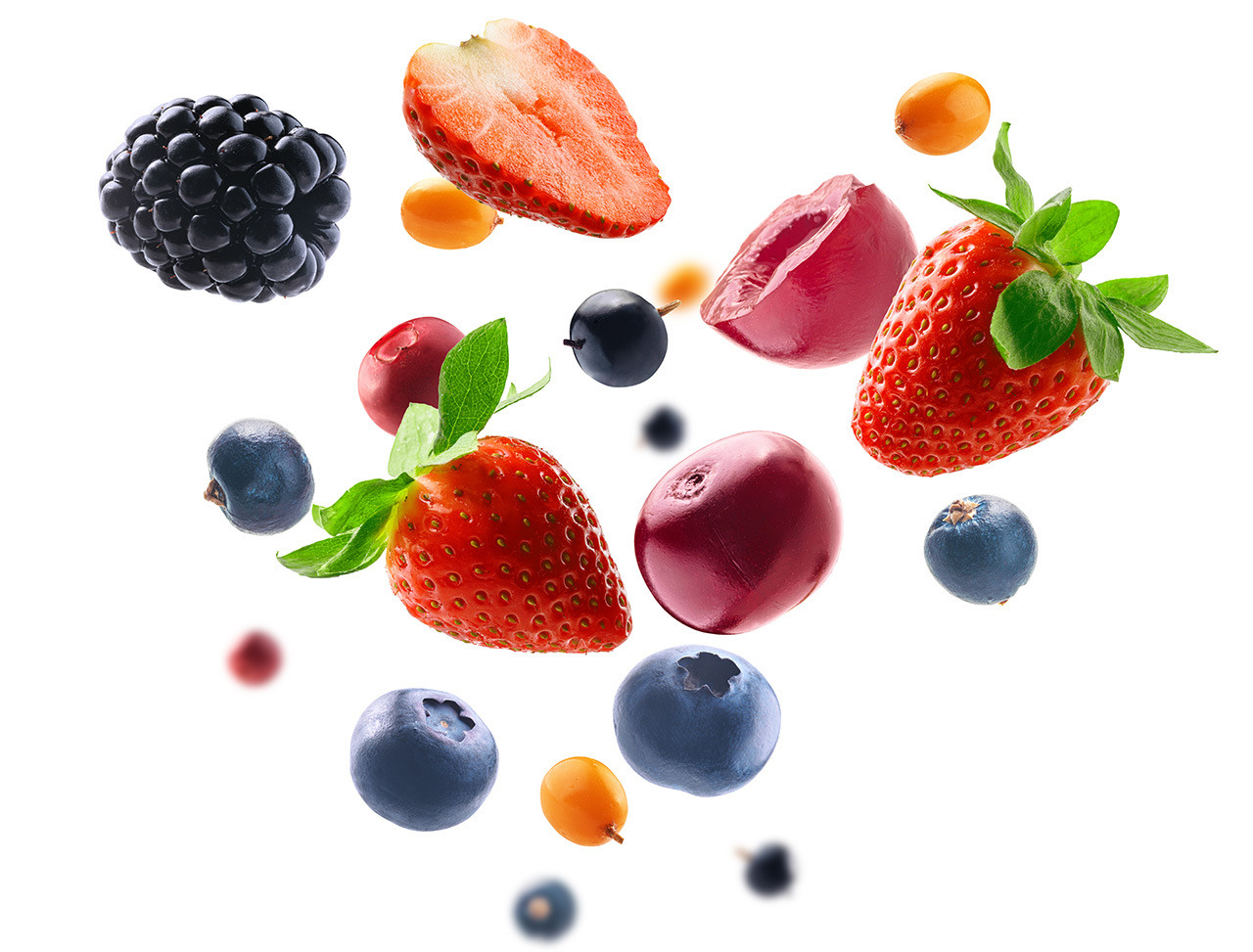 莓果種類怎麼選