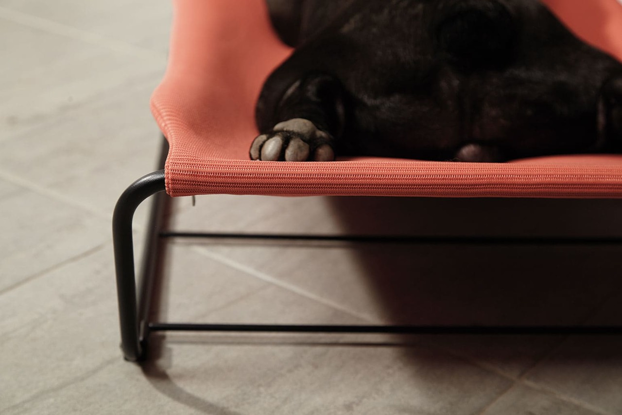 hammock寵物吊床-orange
